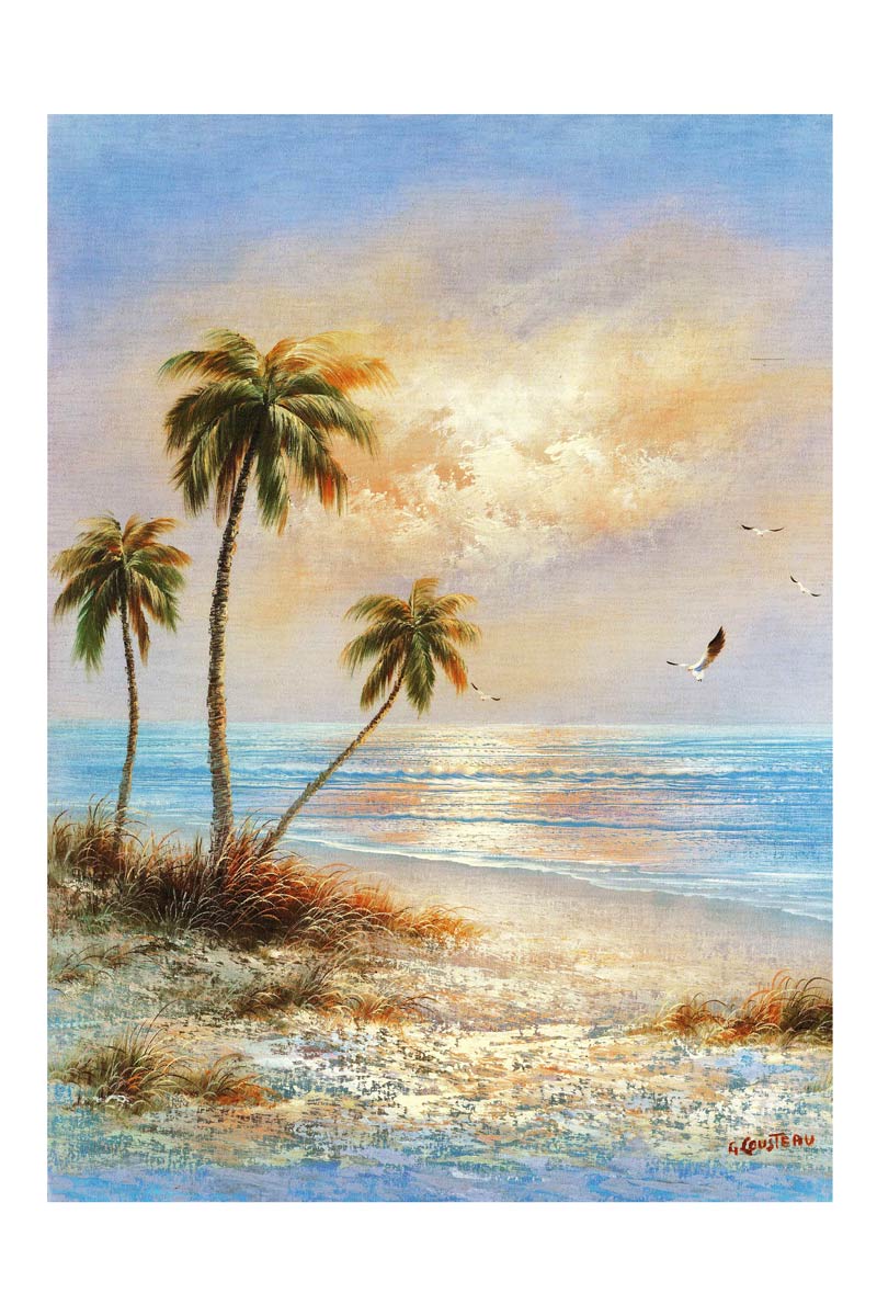 Beautiful Beach View