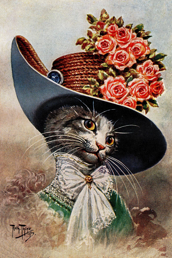 Cats In Human Attire