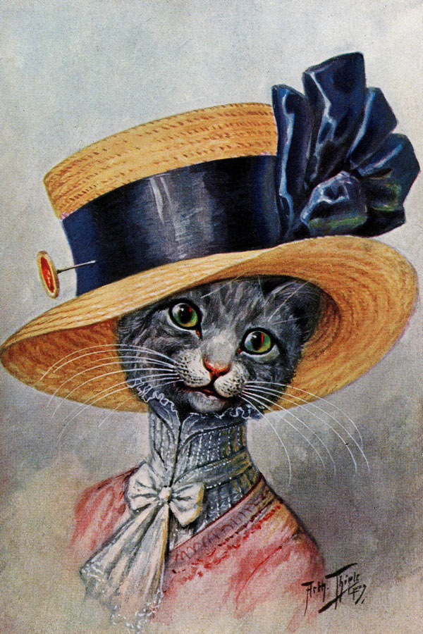 Cats In Human Attire