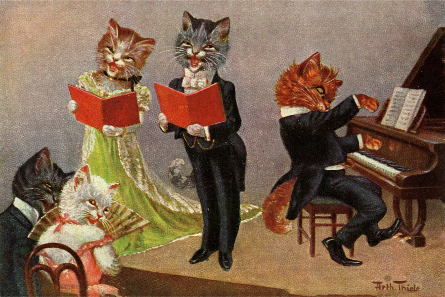 Cats In Human Attire