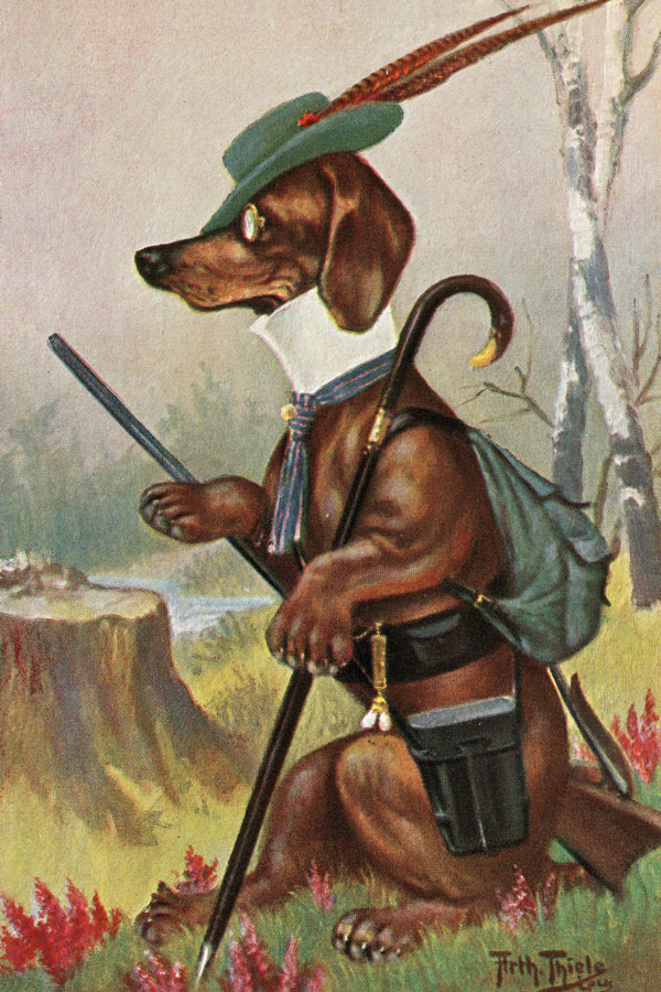 Dogs In Human Attire