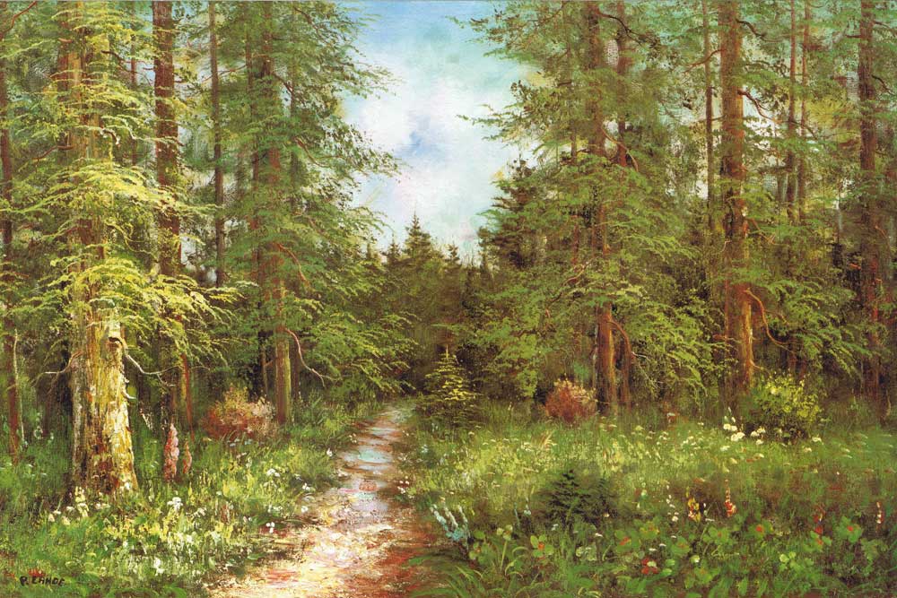 Path in the woods