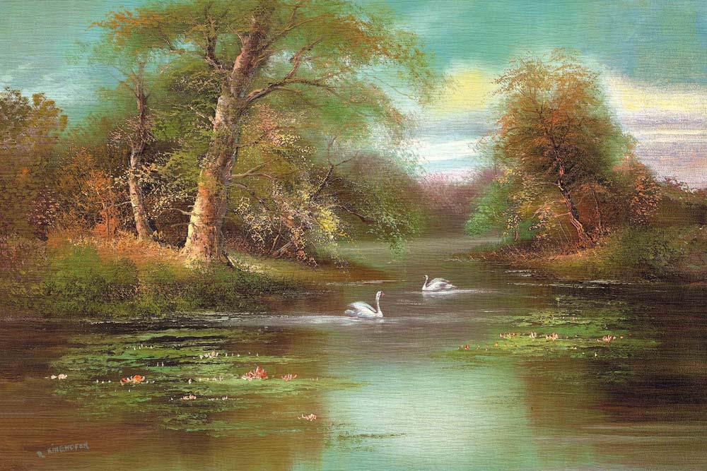 Little Lake With Swans