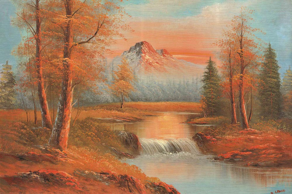 Forest Stream