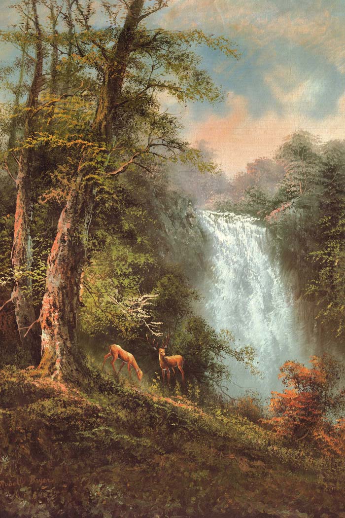 The Beauty Of Waterfall