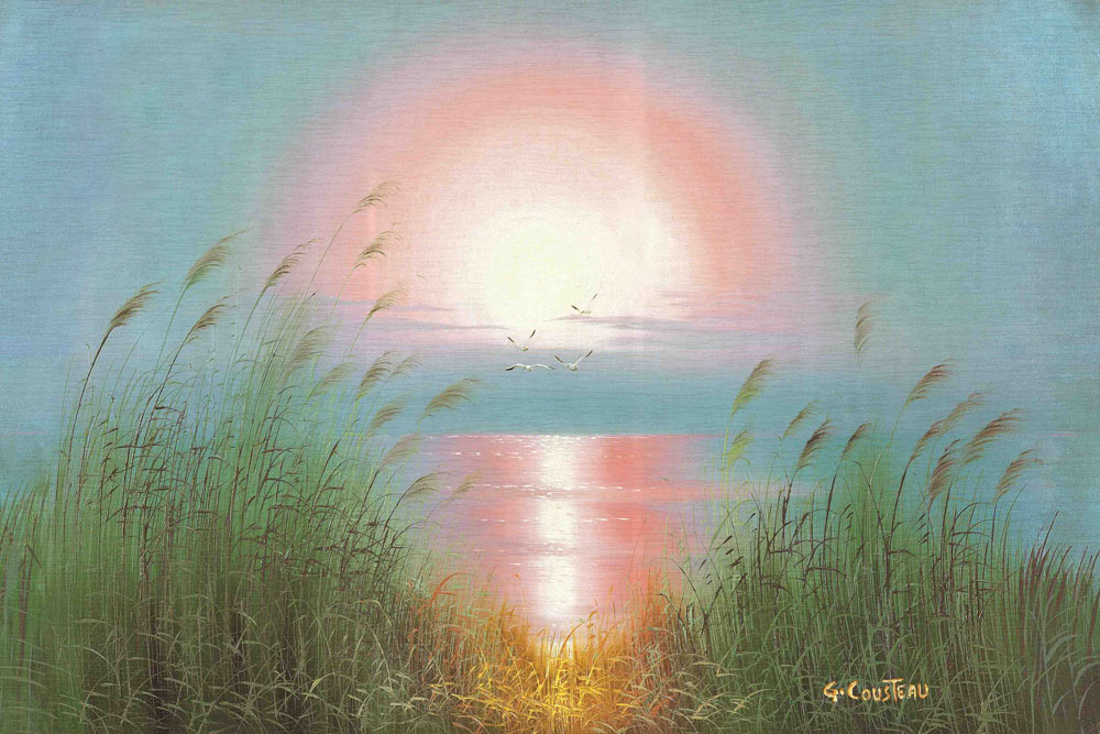 Sun Rise