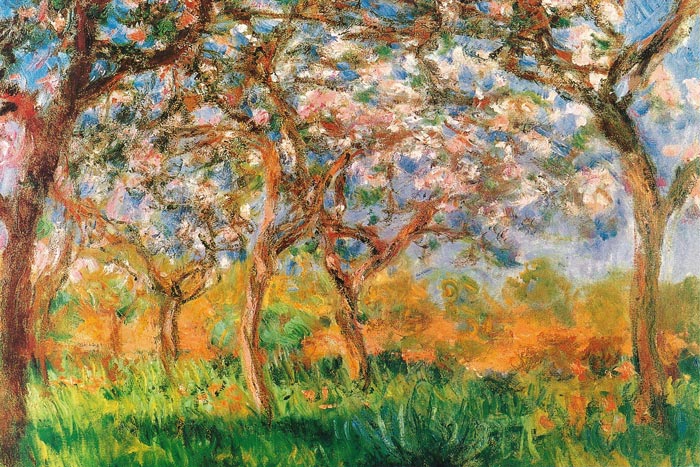 Giverny In Spring