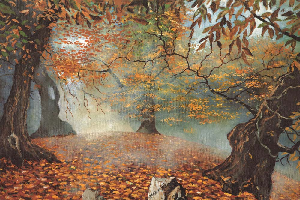 The Forest View