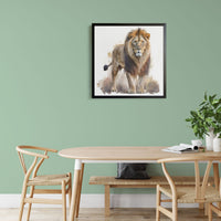 monarchs-gaze-a-lions-pride-7