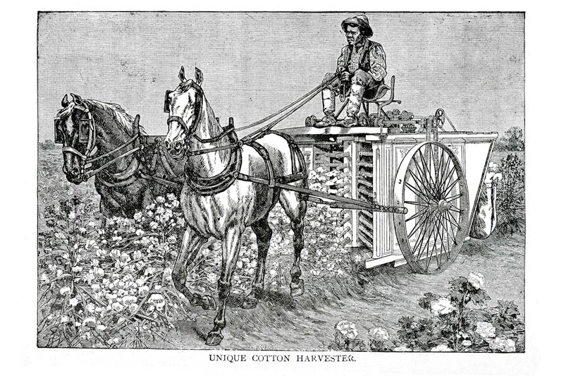 Vintage Black & White Horse
