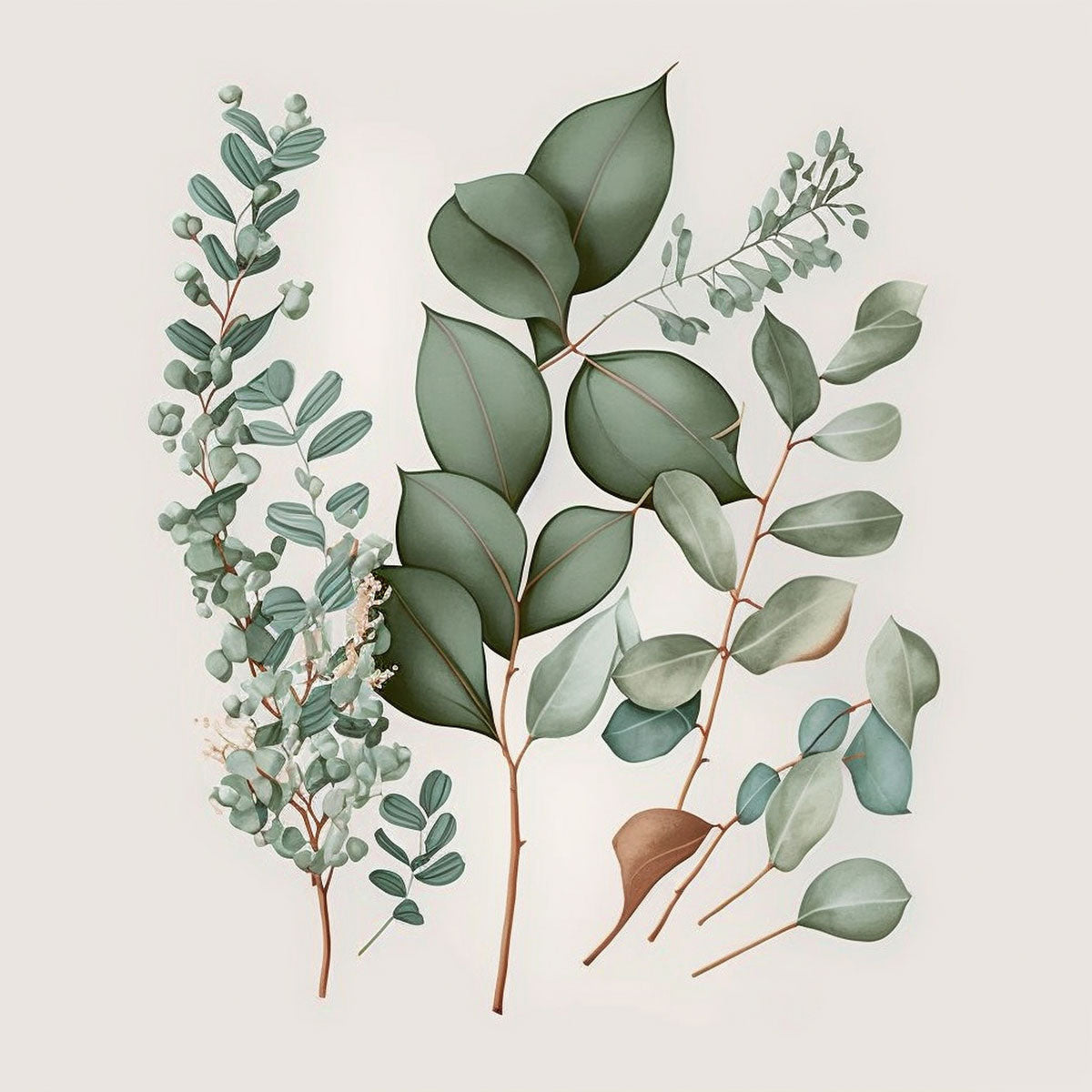 Eucalyptus Leaves Prints