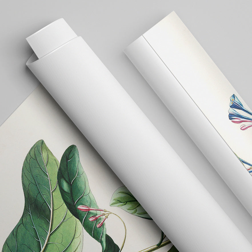 Museum Canvas