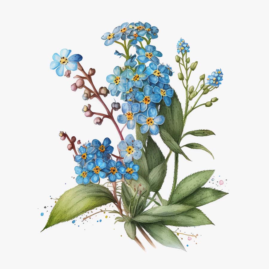 Everlasting Bonds: Forget-Me-Not and Leaves