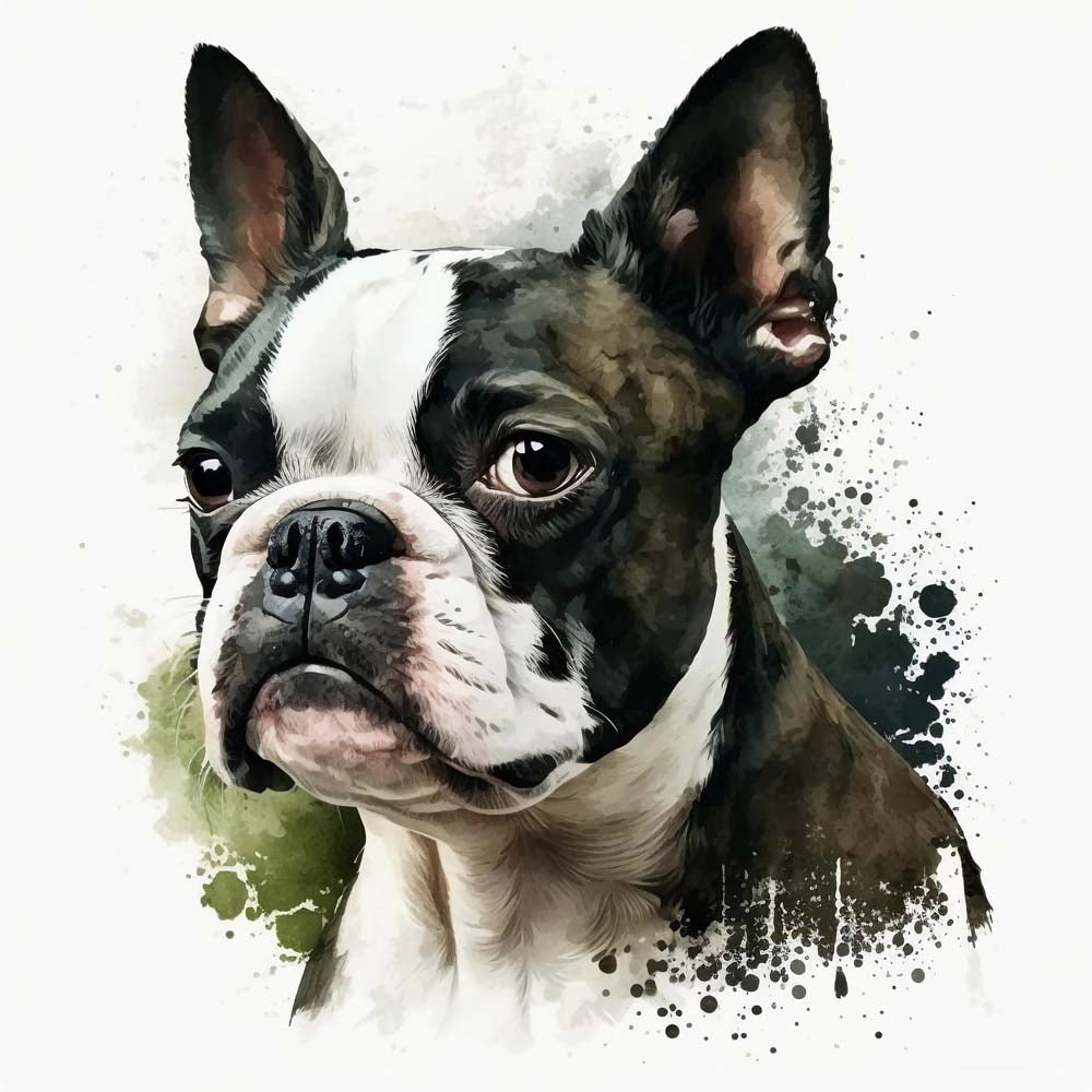 Charming Companions: Boston Terriers in Artistry