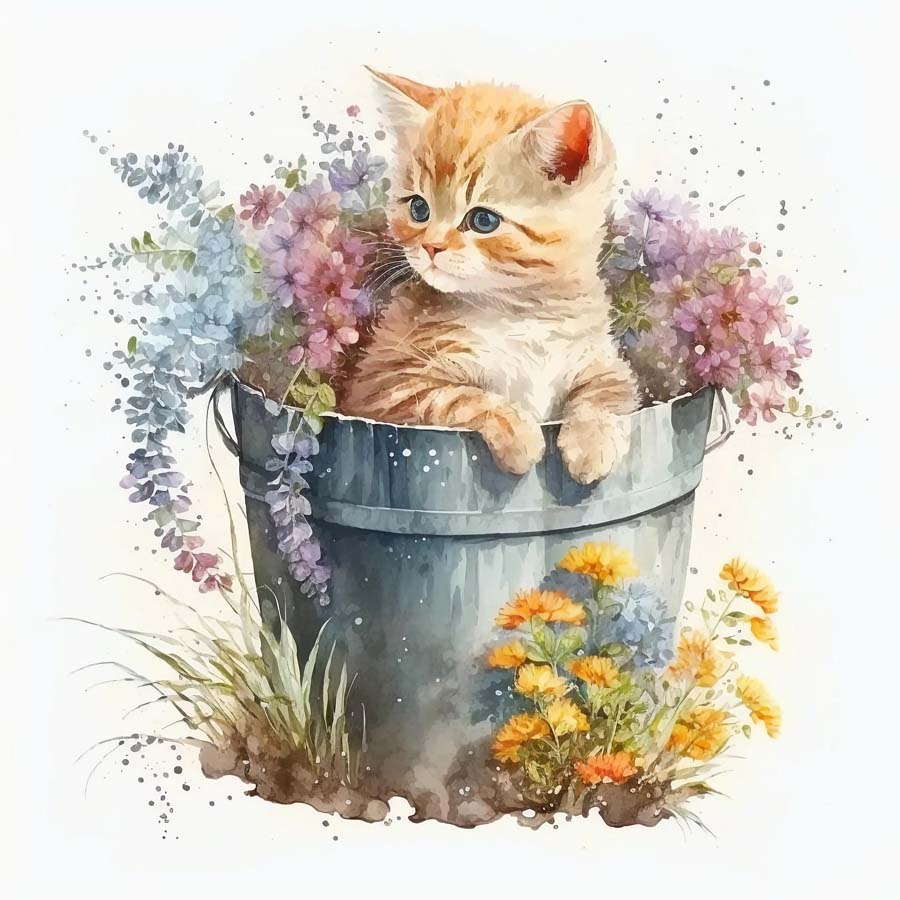 Water Colour Floral & Still Life