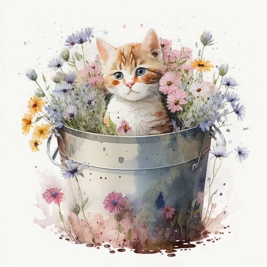 Water Colour Floral & Still Life