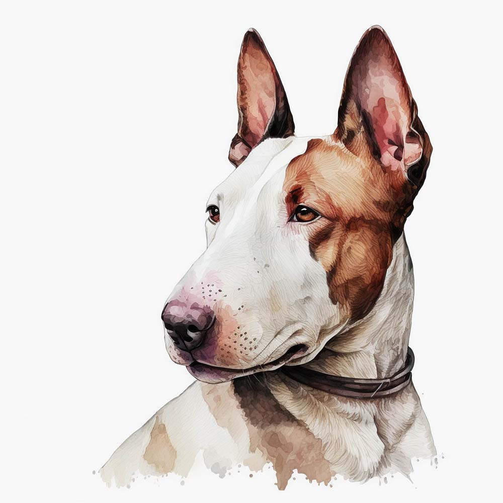 Sculpted Strength: The Allure of the English Bulldog