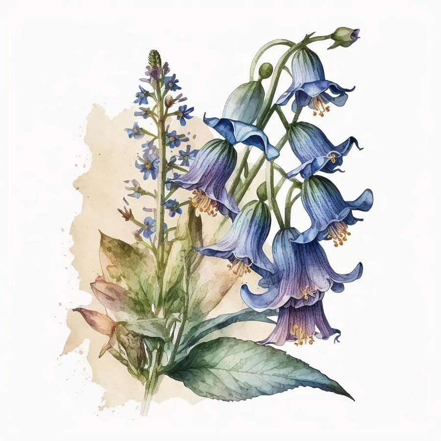 Whispering Bells: Bluebell's Delicate Charm