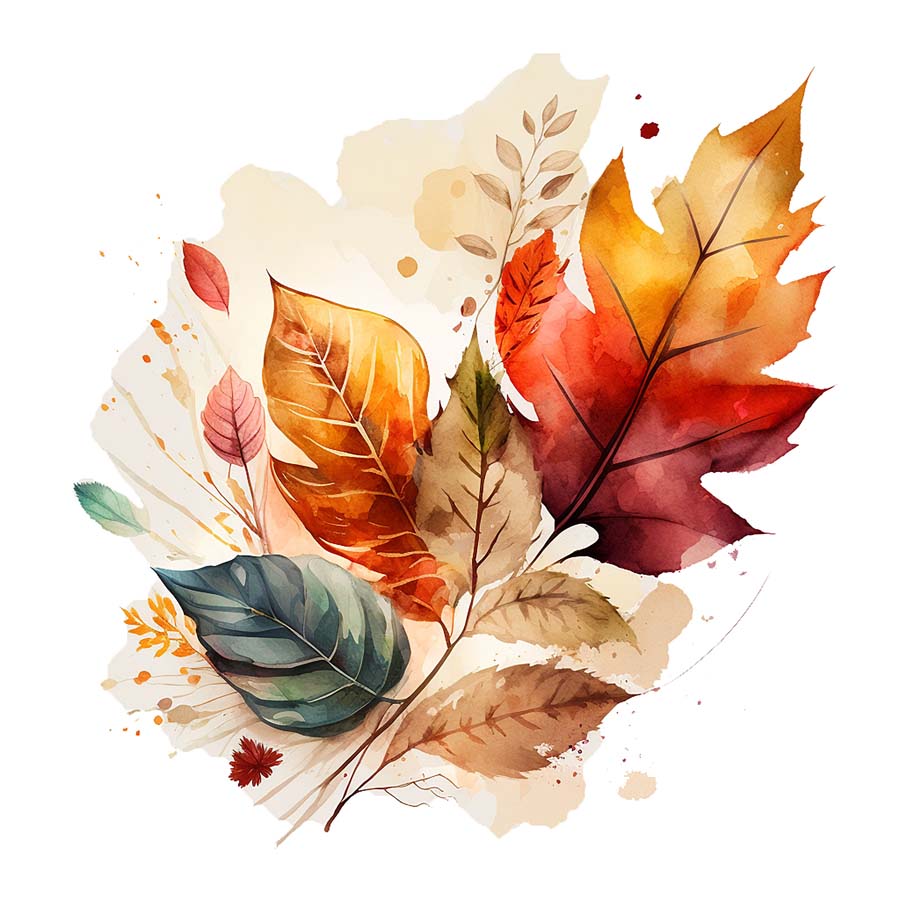 Falling Colors: Autumn Leaves' Symphony
