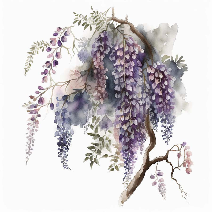 Lavender Cascades: Wisteria's Floral Grace