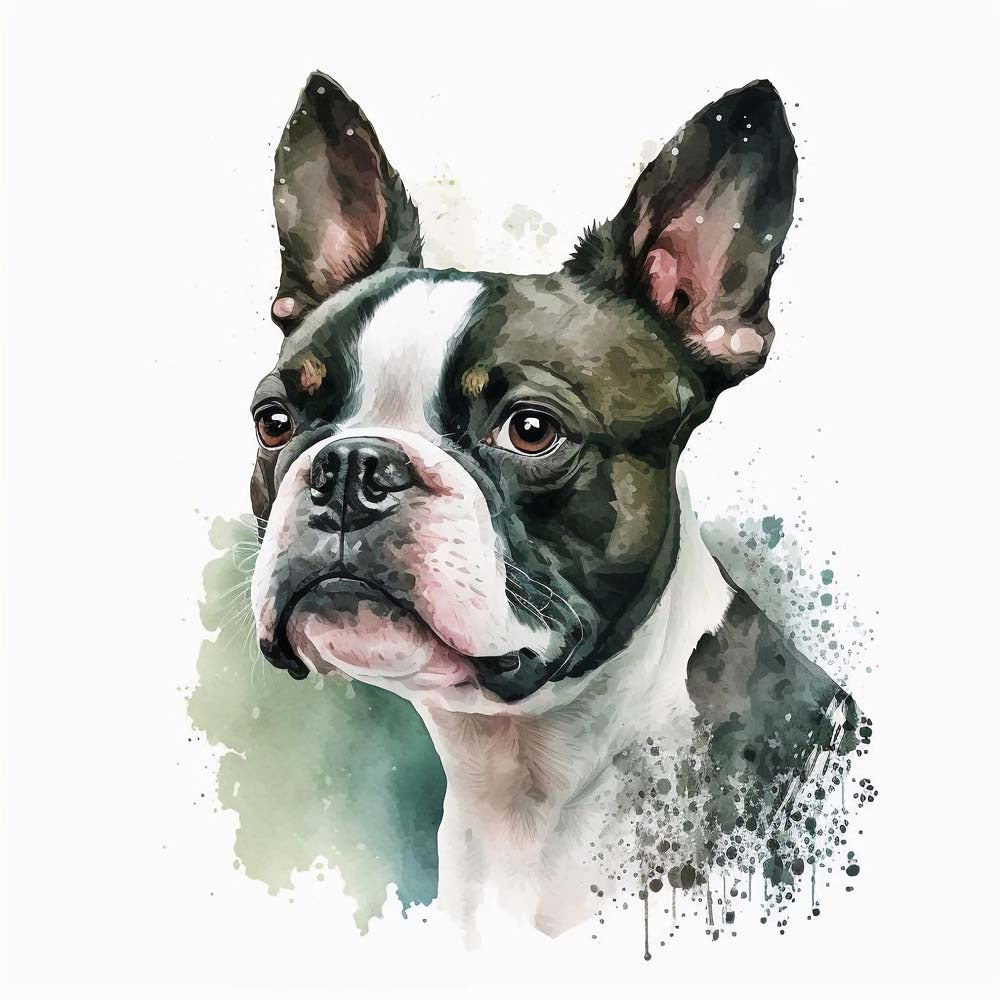 Charming Companions: Boston Terriers in Artistry