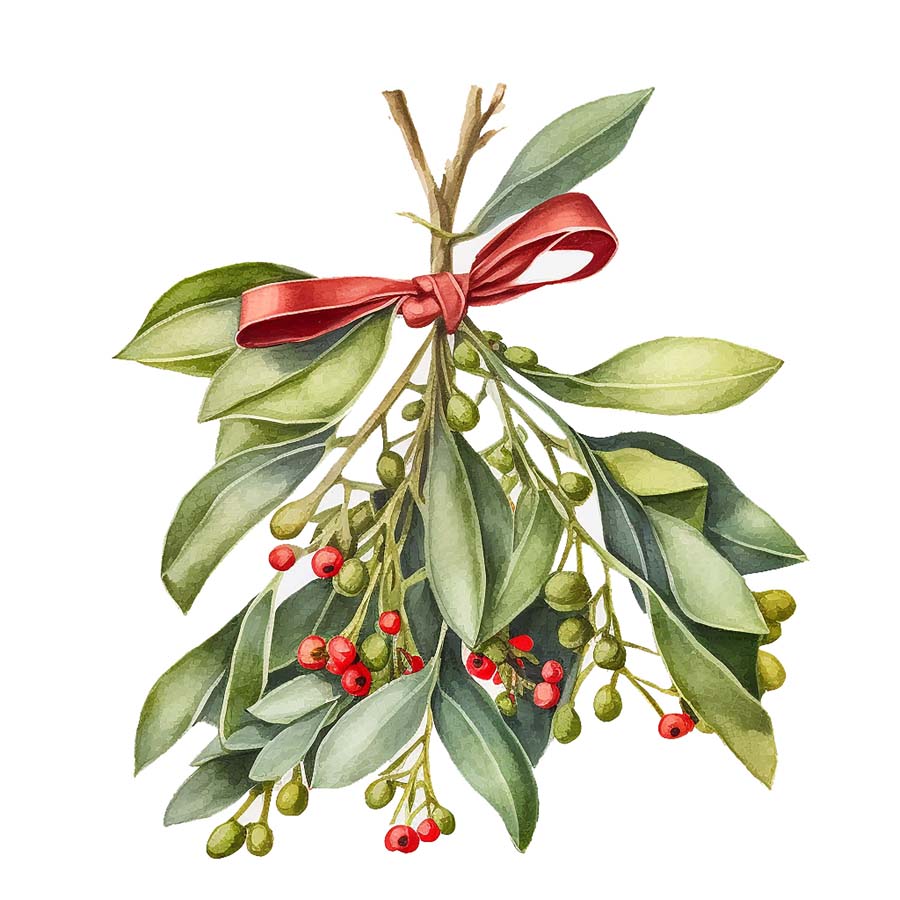 Under the Mistletoe: A Holiday Romance