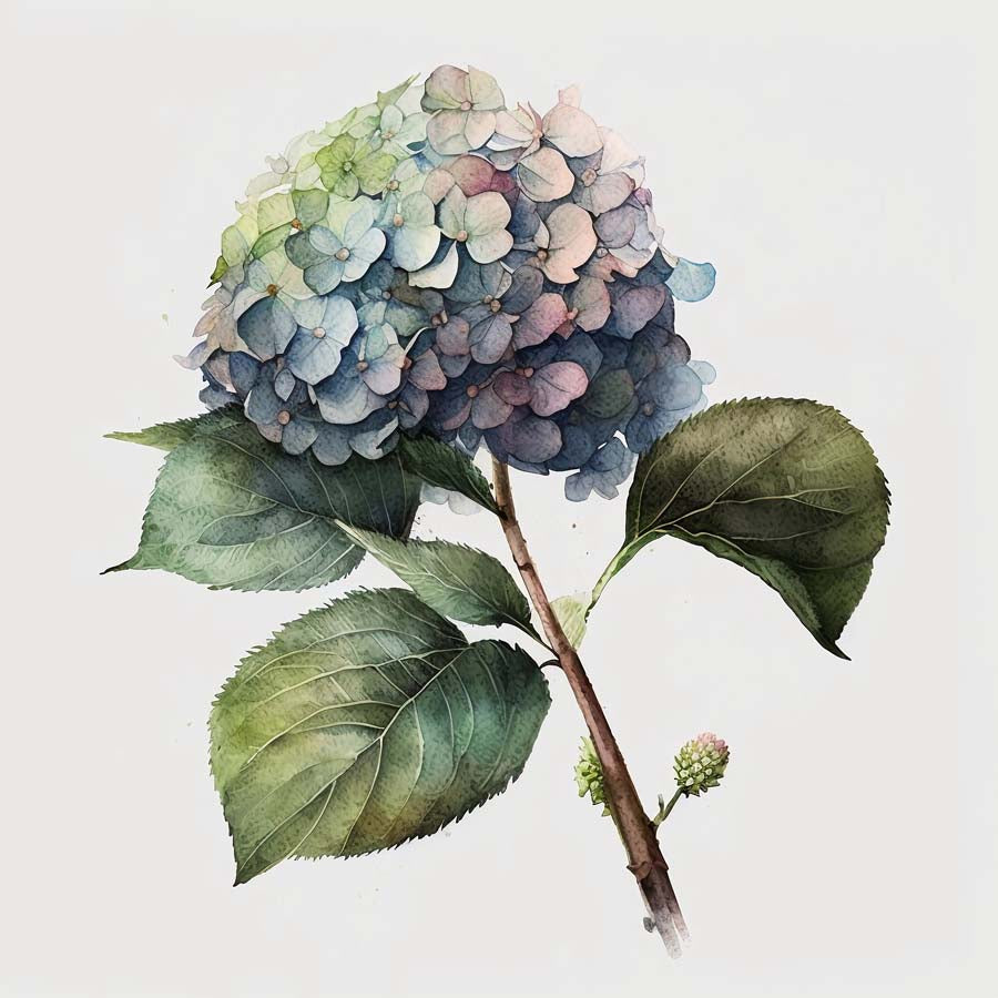 Water Colour Floral