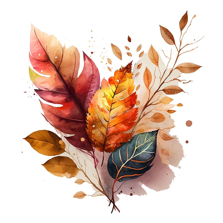 Falling Colors: Autumn Leaves' Symphony