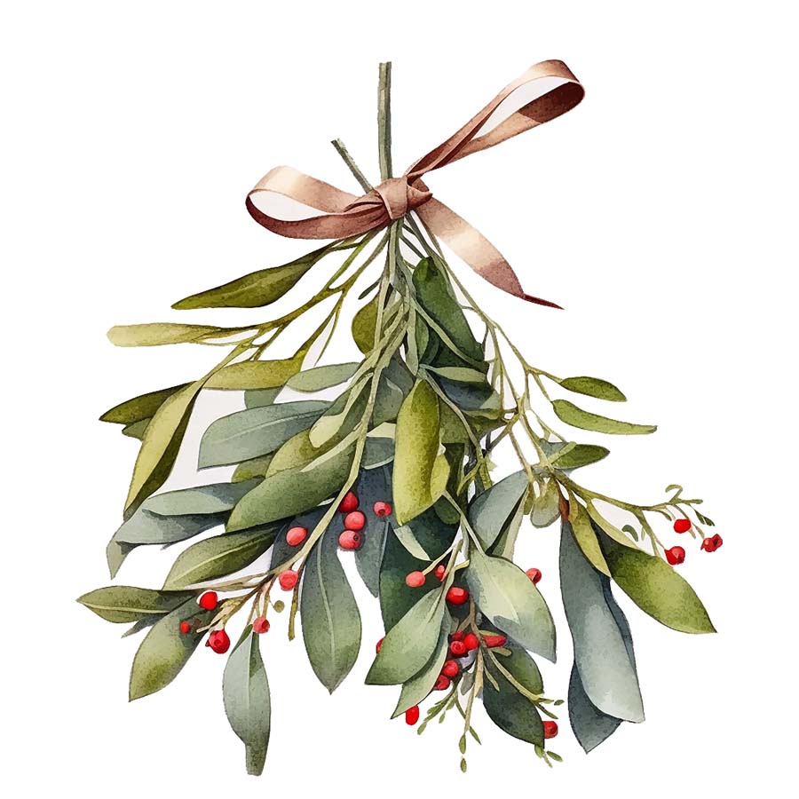 Under the Mistletoe: A Holiday Romance