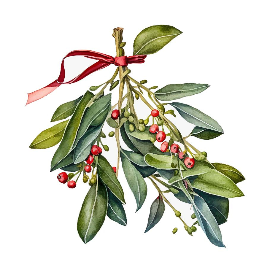 Under the Mistletoe: A Holiday Romance