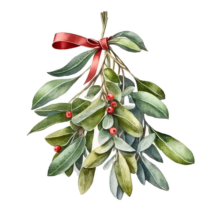 Under the Mistletoe: A Holiday Romance