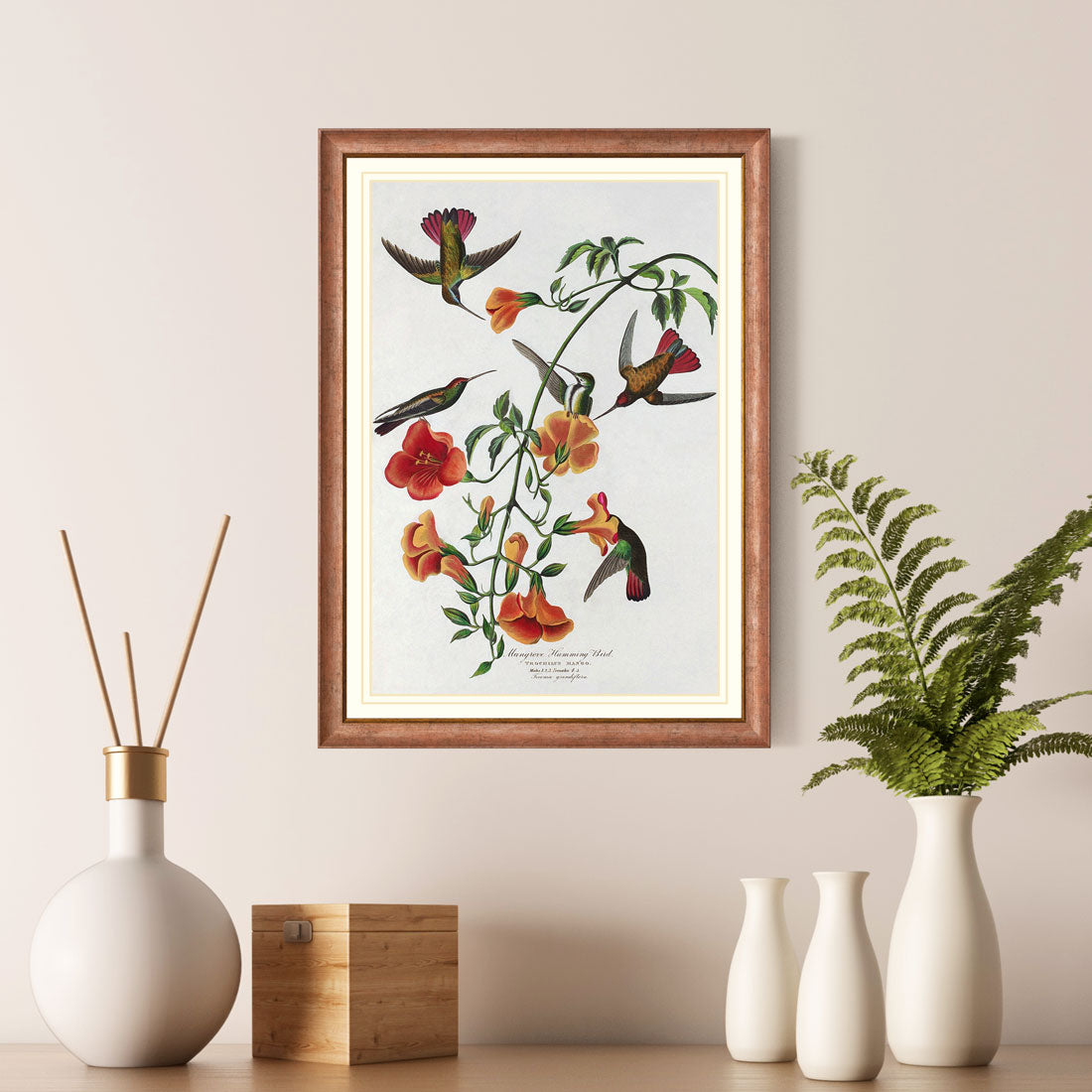 Mangrove Humming Bird