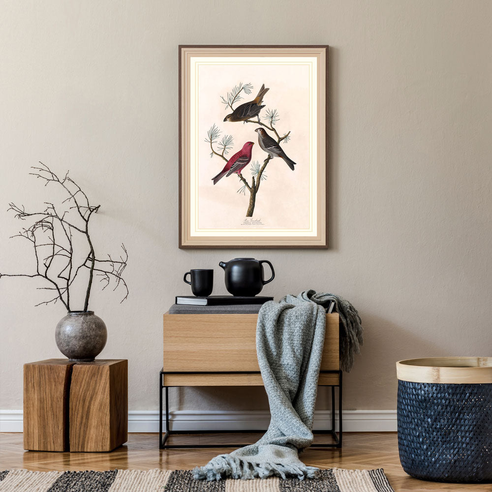 Pine Grosbeak Bird