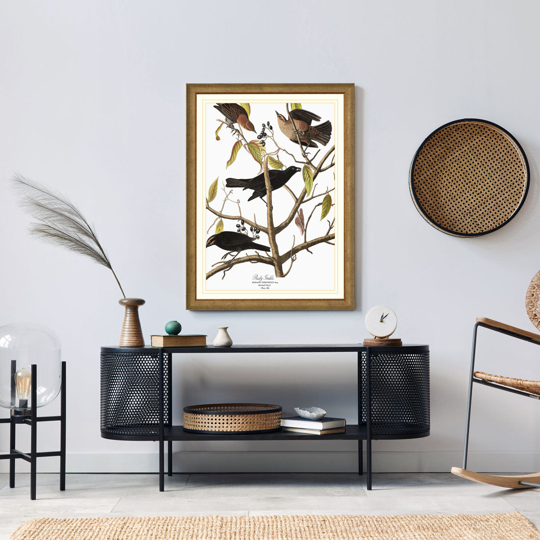 Rusty Grakle Bird