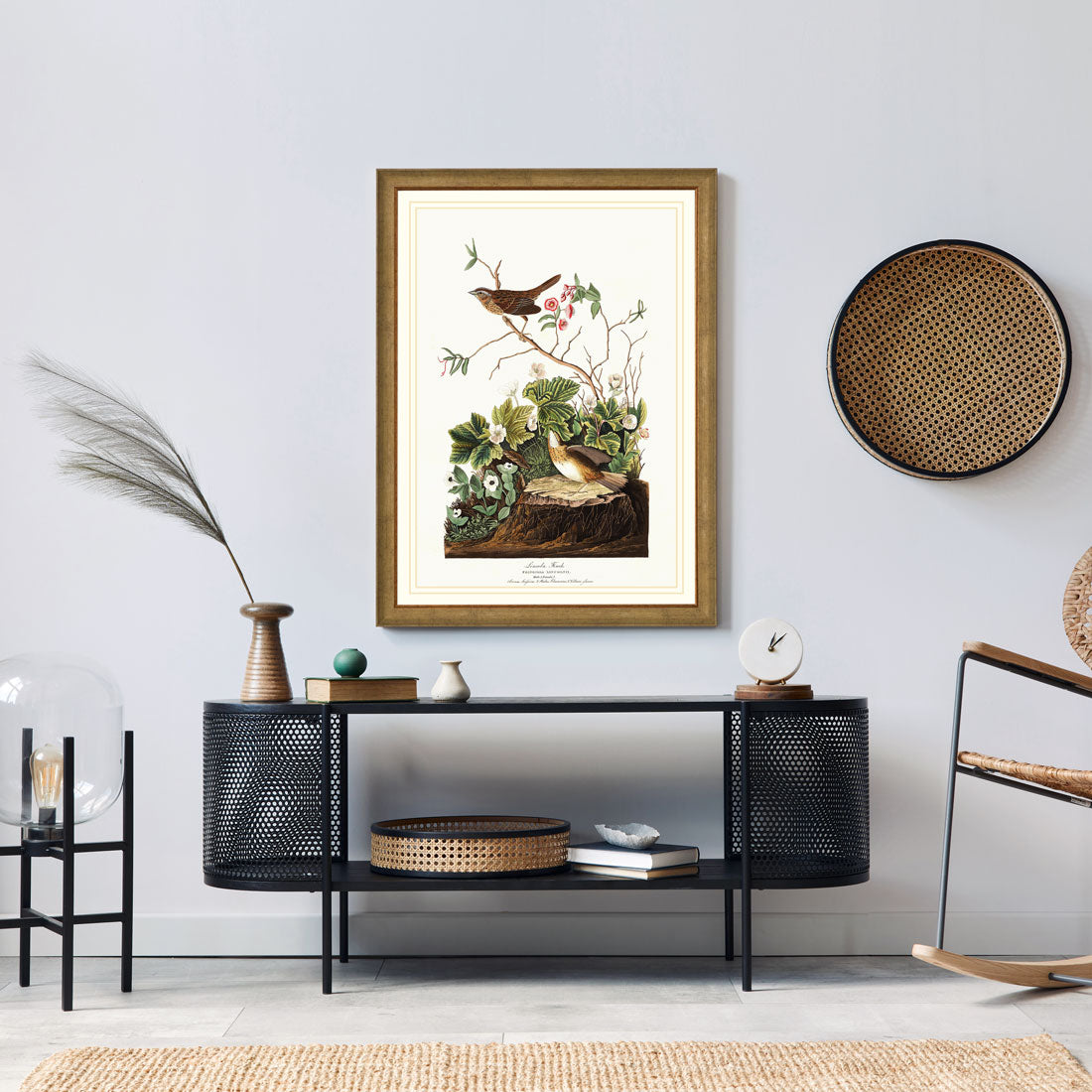Lincoln Finch Bird