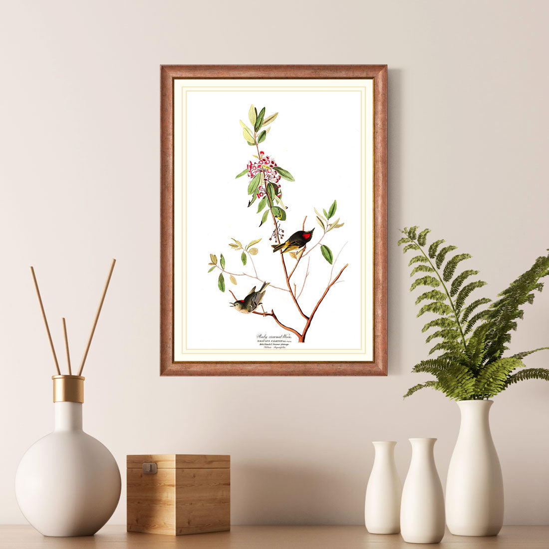 Ruby Crowned Wren Bird