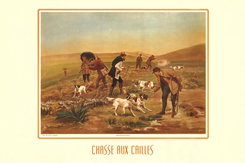 Chasse Aux Cailles