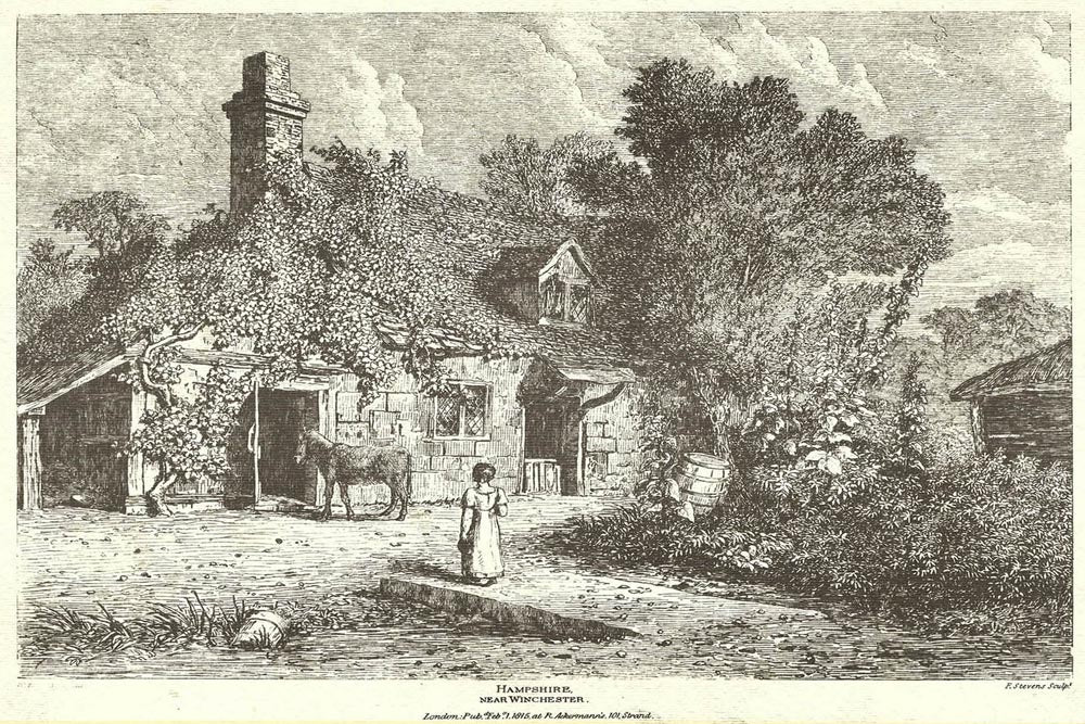Hampshire Near Winchester