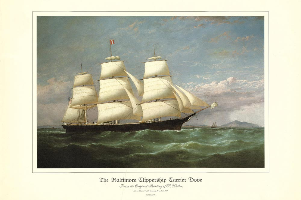 The Baltimore Clippership Carrier Dove