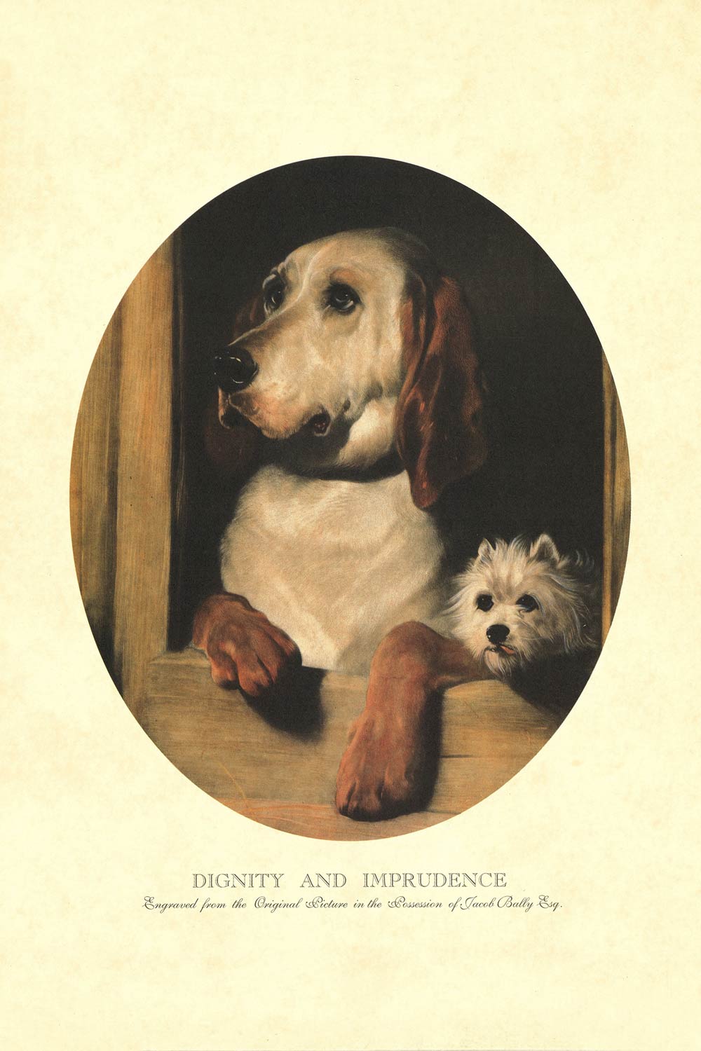 Dignity And Imprudence