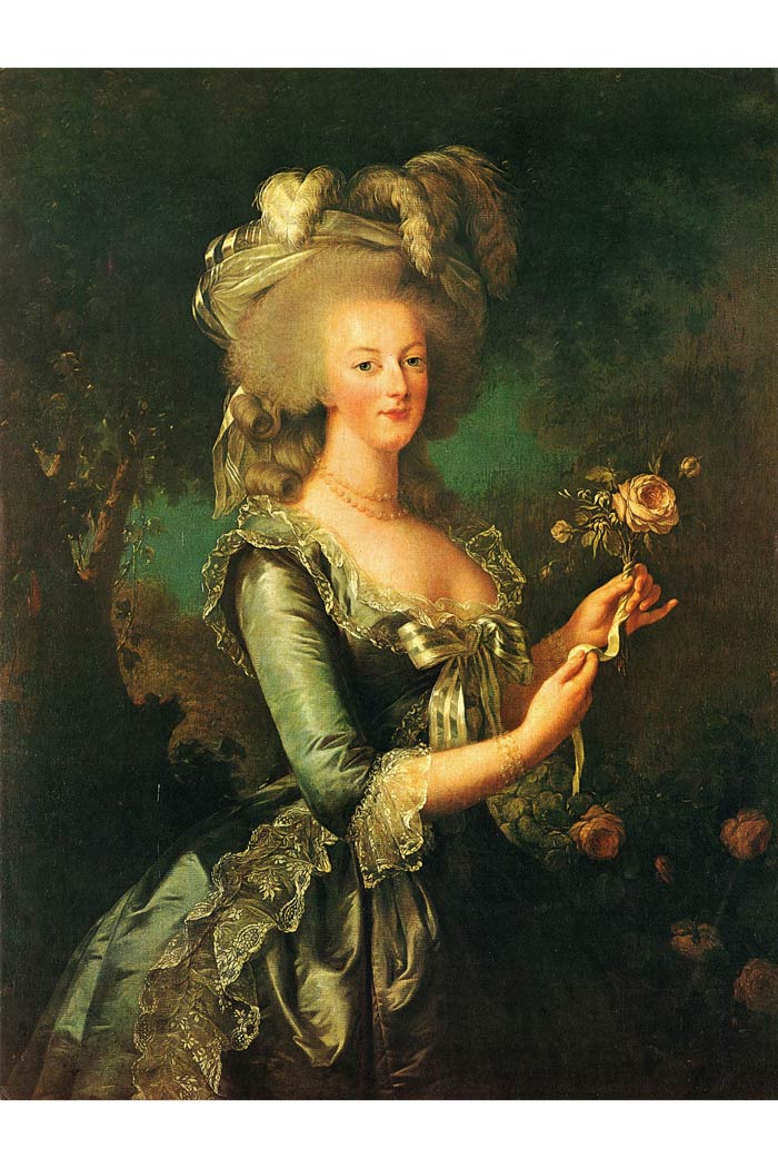 Mary Antoinette Queen of France