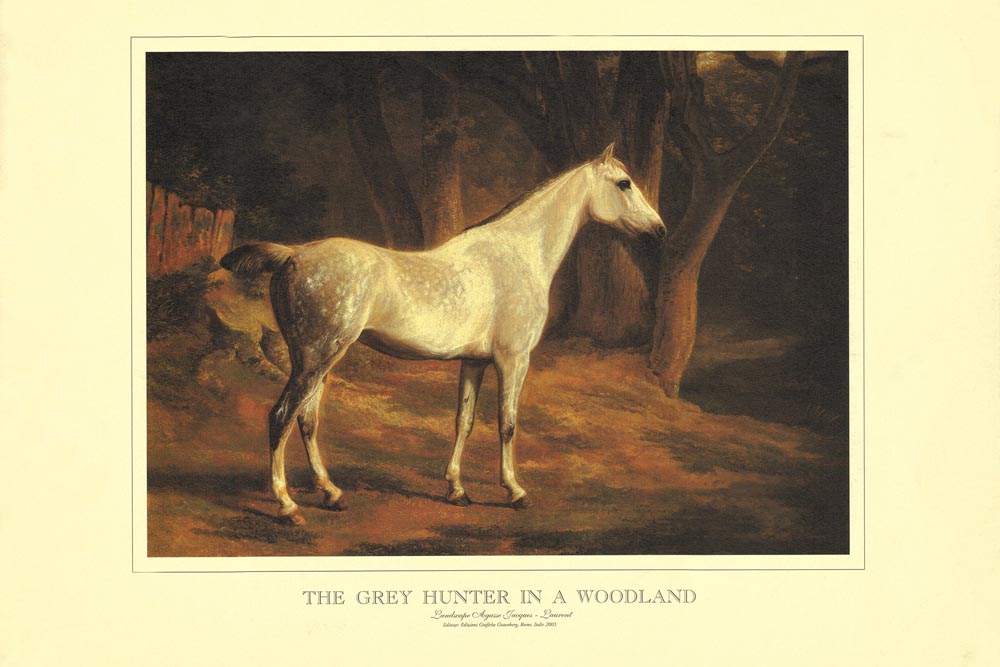 The Grey Hunter In a Woodland