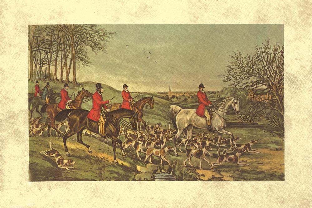 Fox Hunting