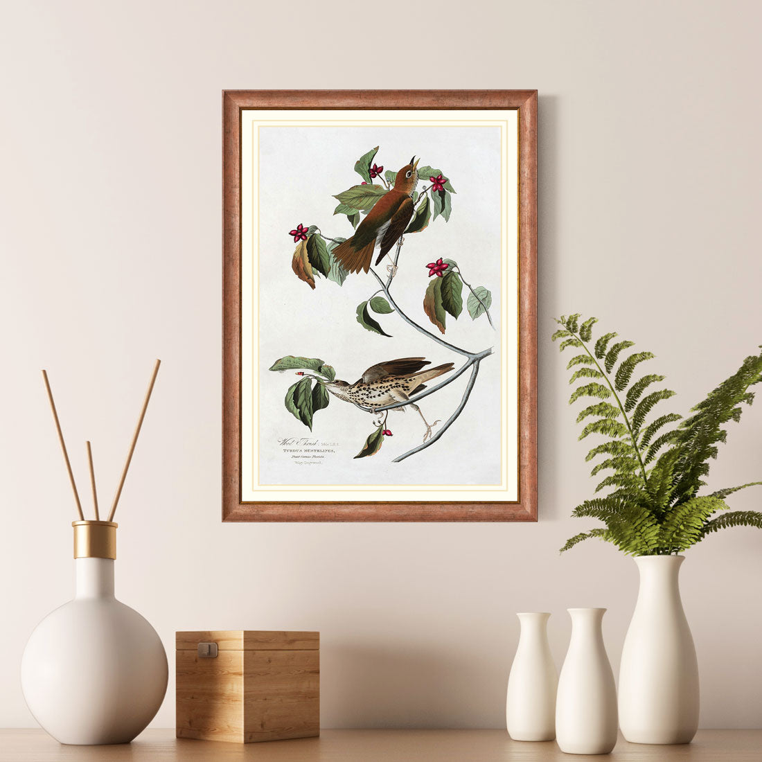 Wood Thrush Bird