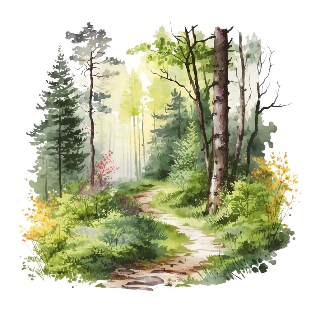 Forest Trail